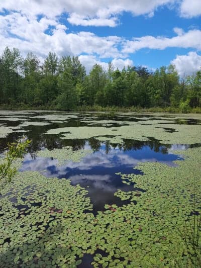 Patuxent Research Refuge - North Tract