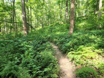 Patuxent River State Park