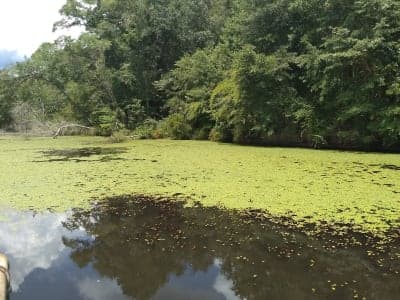 Paul M. Grist State Park
