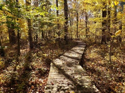 Patuxent Research Refuge - North Tract