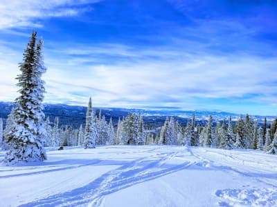 Payette National Forest