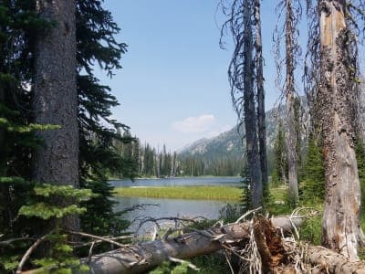 Payette National Forest