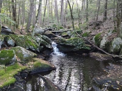 Pearl Hill State Park