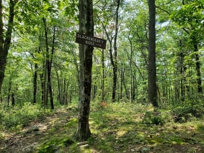 Pearl Hill State Park