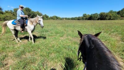 Peeler Park Equestrian Trails