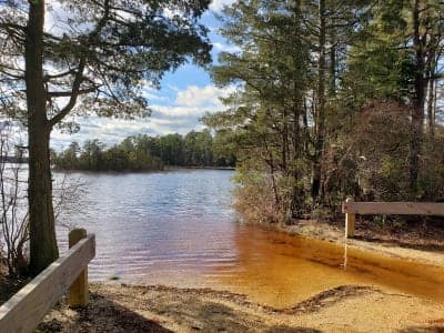 Penn State Forest