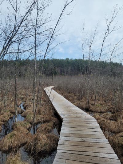 Peoples State Forest