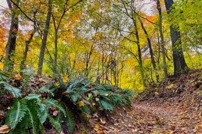 Pere Marquette State Park