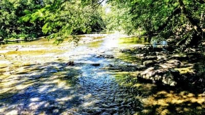 Percy Warner Park Equestrian Trails
