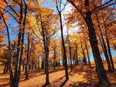 Pere Marquette State Park