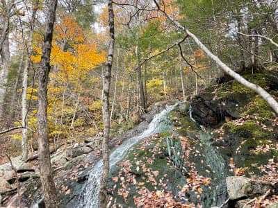 Peoples State Forest