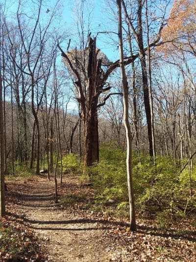 Percy Warner Park Equestrian Trails