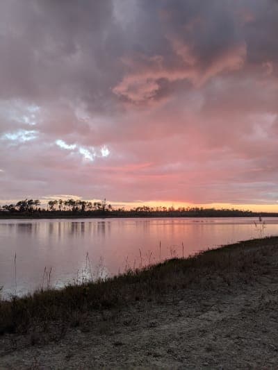 Picayune Strand State Forest