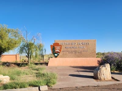 Petrified Forest National Park