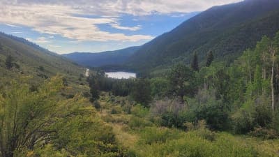 Pike National Forest