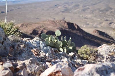 Picacho Peak Recreation Area