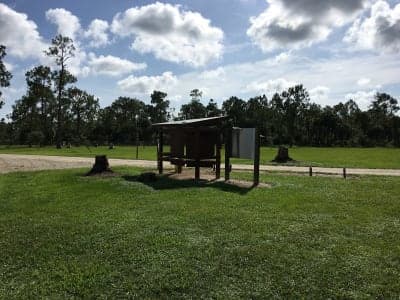 Picayune Strand State Forest
