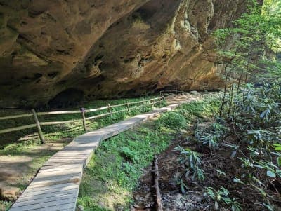 Pickett CCC Memorial State Park & Pickett State Forest