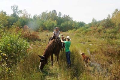 Pillsbury State Forest / Walter E. Stark Horse Campground