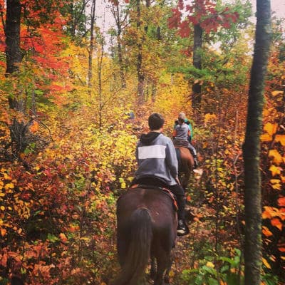 Pillsbury State Forest / Walter E. Stark Horse Campground