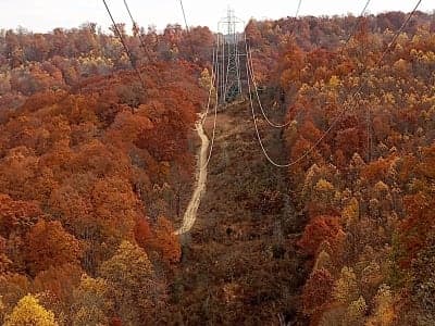 Pike State Forest