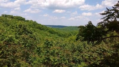 Pike State Forest