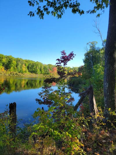 Pillsbury State Forest / Walter E. Stark Horse Campground