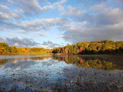 Pinckney Recreation Area
