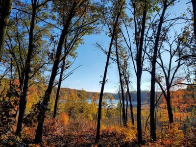 Pinckney Recreation Area