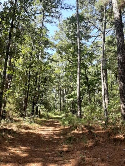 Piney Creek Horse Trail