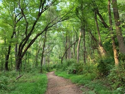 Piney Run Park