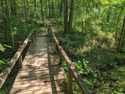 Pinckney Recreation Area