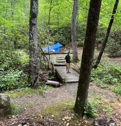 Pisgah National Forest / Wash Creek Horse Camp