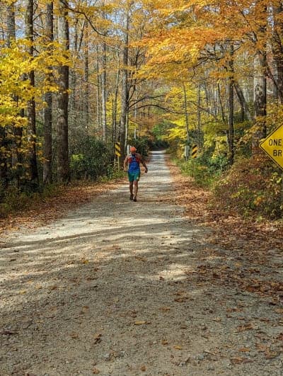 Pisgah National Forest / Wolf Ford Horse Camp