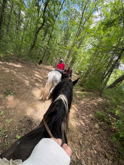 Pipestem Horse Camp and Trail