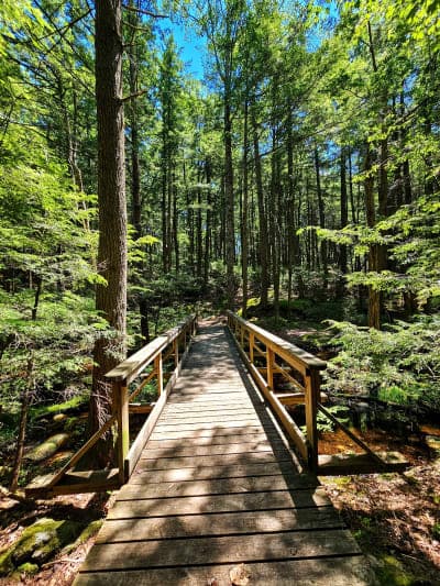 Pisgah State Park