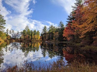 Pisgah State Park