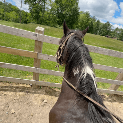 Pipestem Horse Camp and Trail