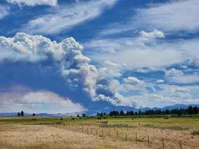 Plumas National Forest