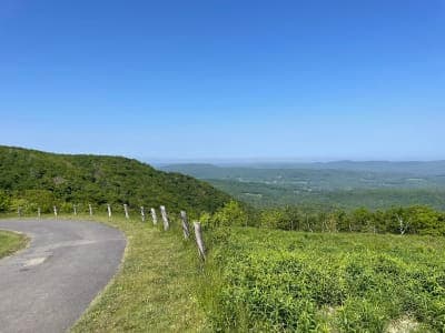 Pittsfield State Forest