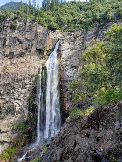 Plumas National Forest