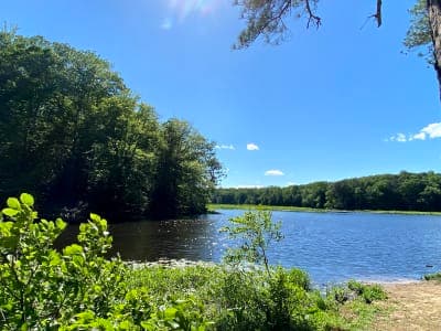 Pocahontas State Park