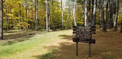 Pittsfield State Forest