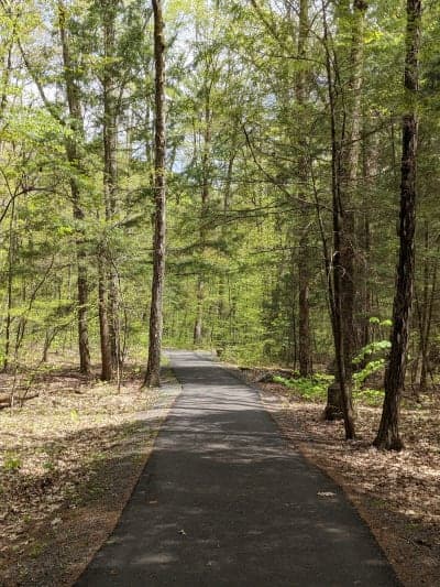 Pittsfield State Forest