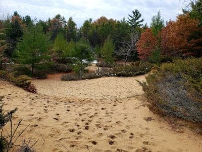 Point Beach State Forest