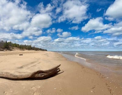 Point Beach State Forest