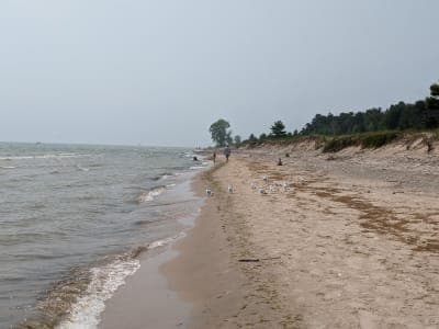 Point Beach State Forest