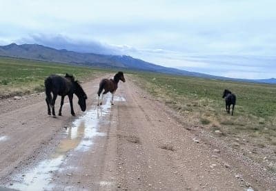 Pony Express National Historic Trail / Simpson Springs Backcountry Byway