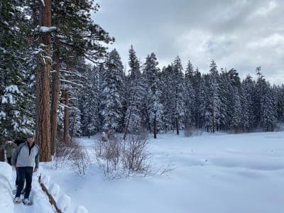 Ponderosa State Park