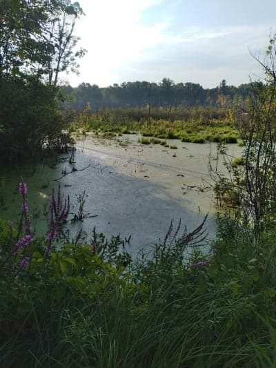 Polly Ann State Rail Trail